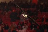 Foto: SL Benfica
