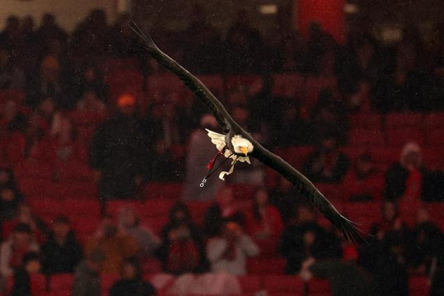 Foto: SL Benfica
