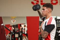 Barrenechea a trabalhar no ginásio - Foto: Benfica