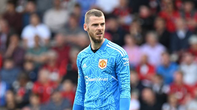 «O estranho é De Gea ter estado um ano parado»