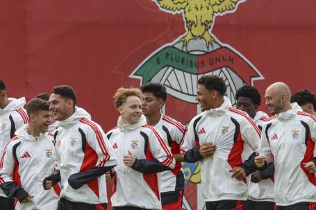 Plantel do Benfica em  treino (foto: SL Benfica)