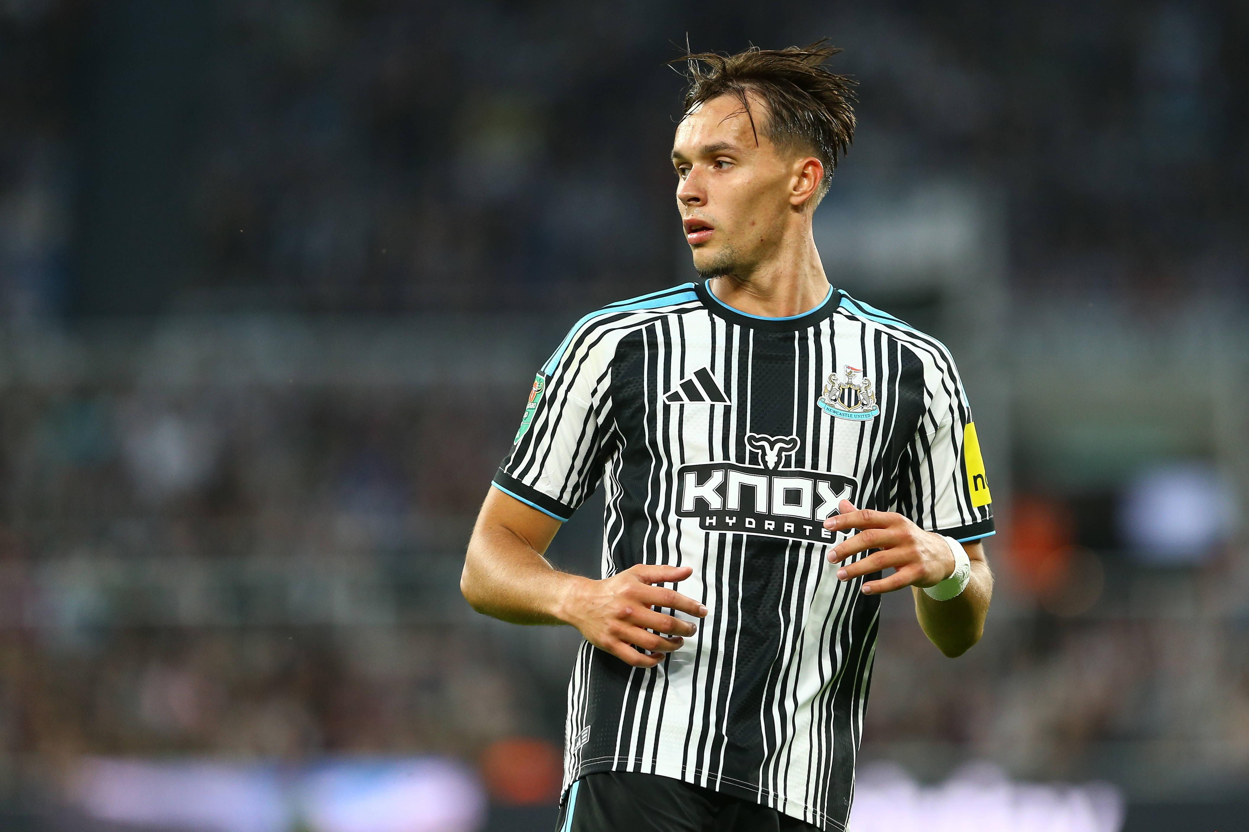 Dedic, lateral-direito do Newcastle (foto: Imago)