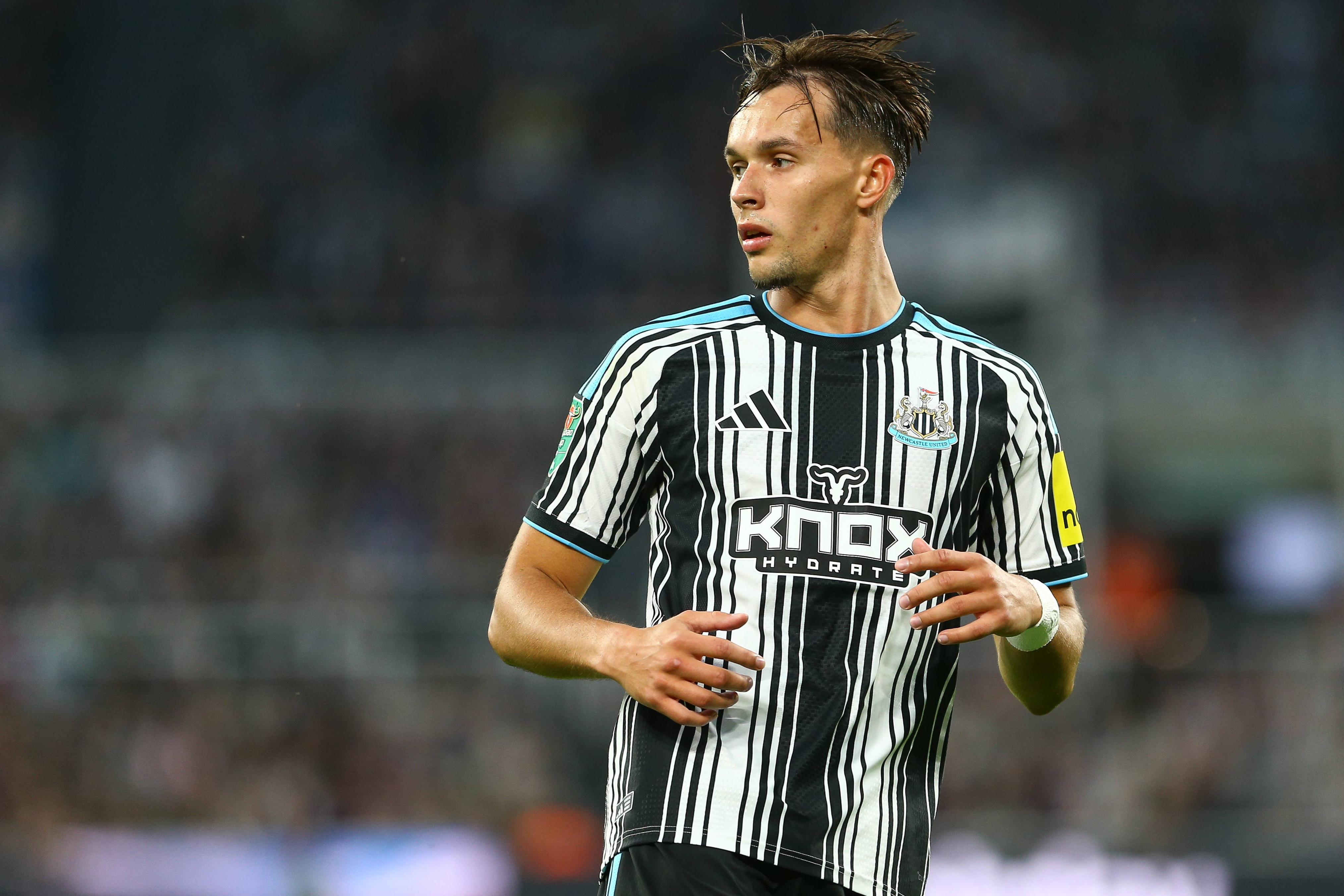 Dedic, lateral-direito do Newcastle (foto: Imago)