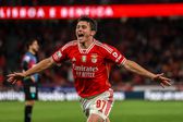 João Neves deixou o Benfica rumo ao PSG a troco de 60 milhões de euros, mais 10 por objetivos (foto Imago)