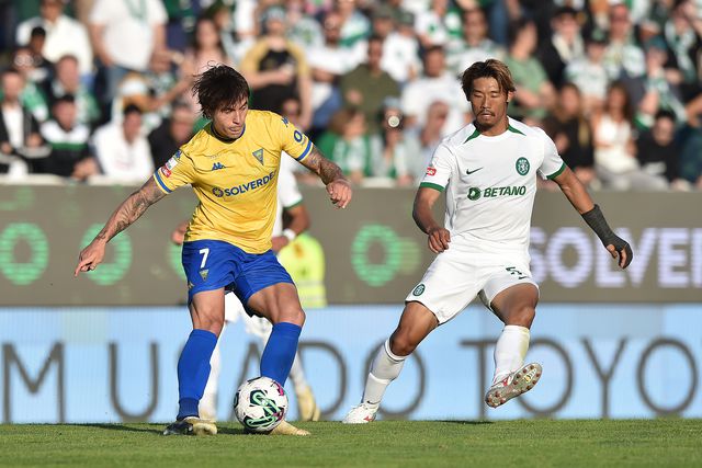 Estoril-Sporting: será na Amoreira que o leão vai travar esta época?