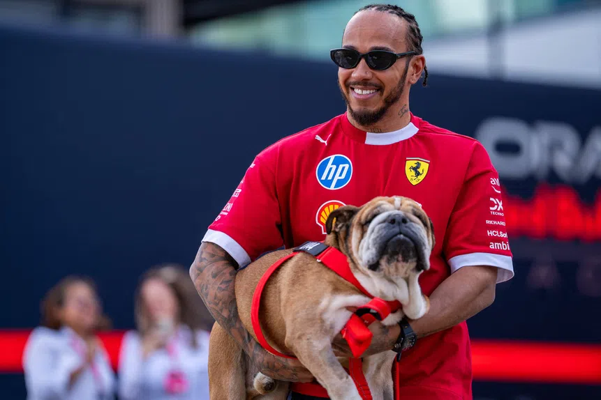 Hamilton: Ferrari trocada por drama canino