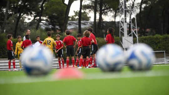 Benfica espalhado pelo país