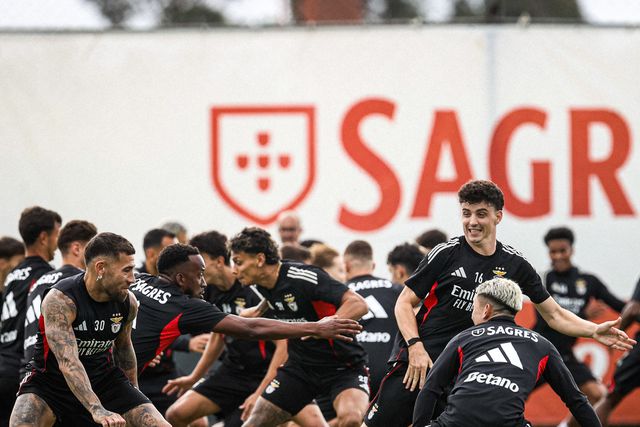 Plantel do Benfica em fase de treino no Seixal - Foto SL Benfica