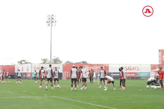 Irene Palma com toda a informação do treino do Benfica