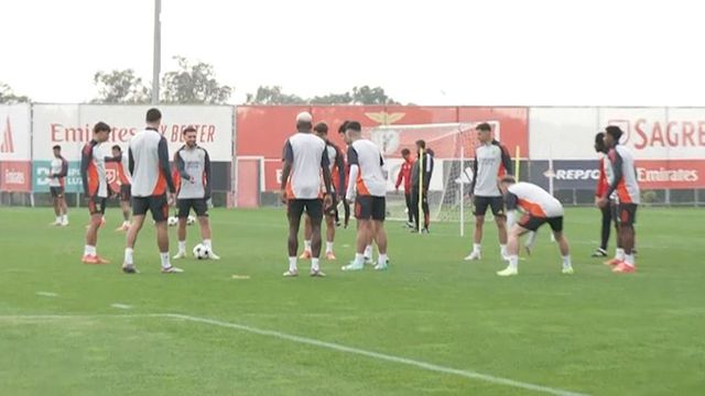 Irene Palma com toda a informação do treino do Benfica