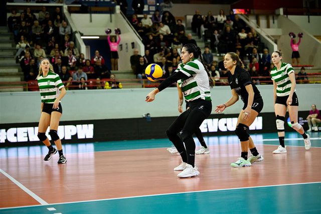 Sporting e FC Porto perdem na Taça CEV, SC Braga vence na Challenge