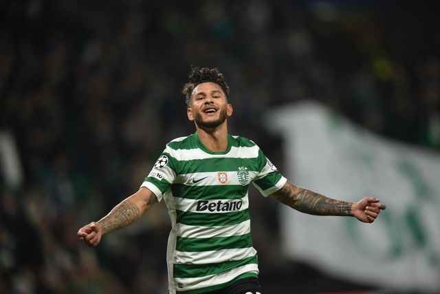 Catamo esteve em dois golos e na plasticidade tática leonina (as notas do Sporting)