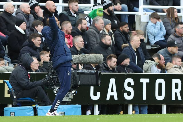 Espírito Santo feliz com reviravolta: «Mudou tudo não foi?»