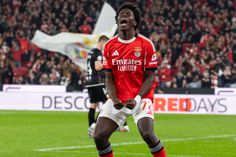 «Ivanovic, que custou 20 milhões, foi ultrapassado por Anísio»