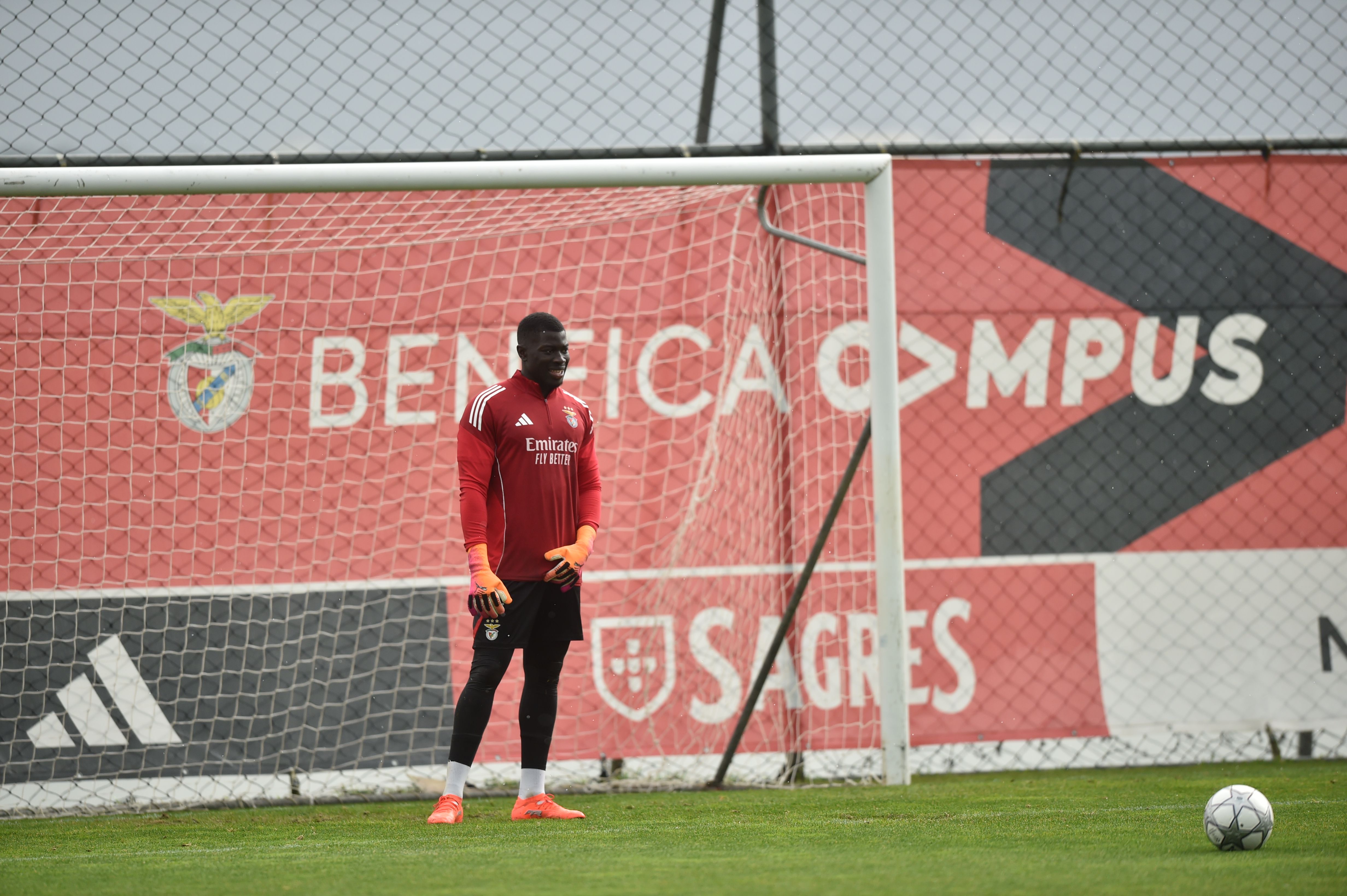 Último treino do Benfica antes do duelo com o Real Madrid para a UEFA Champions League - Foto: MIGUEL NUNES