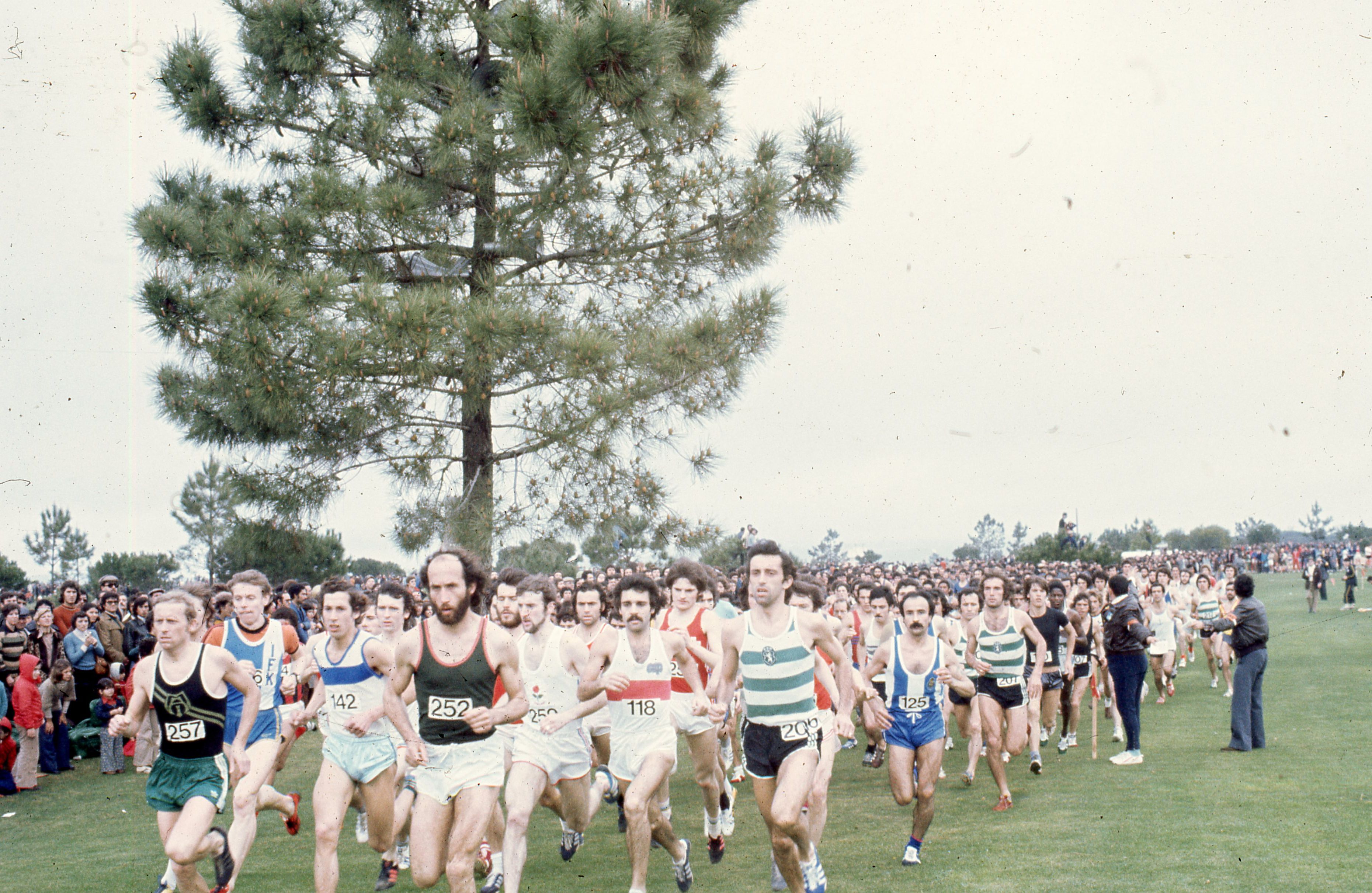 Fernando Mamede durante o 1.º Cross Internacional das Amendoeiras em Flor, realizado nas Açoteias, no Algarve, no dia 27 de fevereiro de 1977 - Foto: ASF/NUNO FERRARI