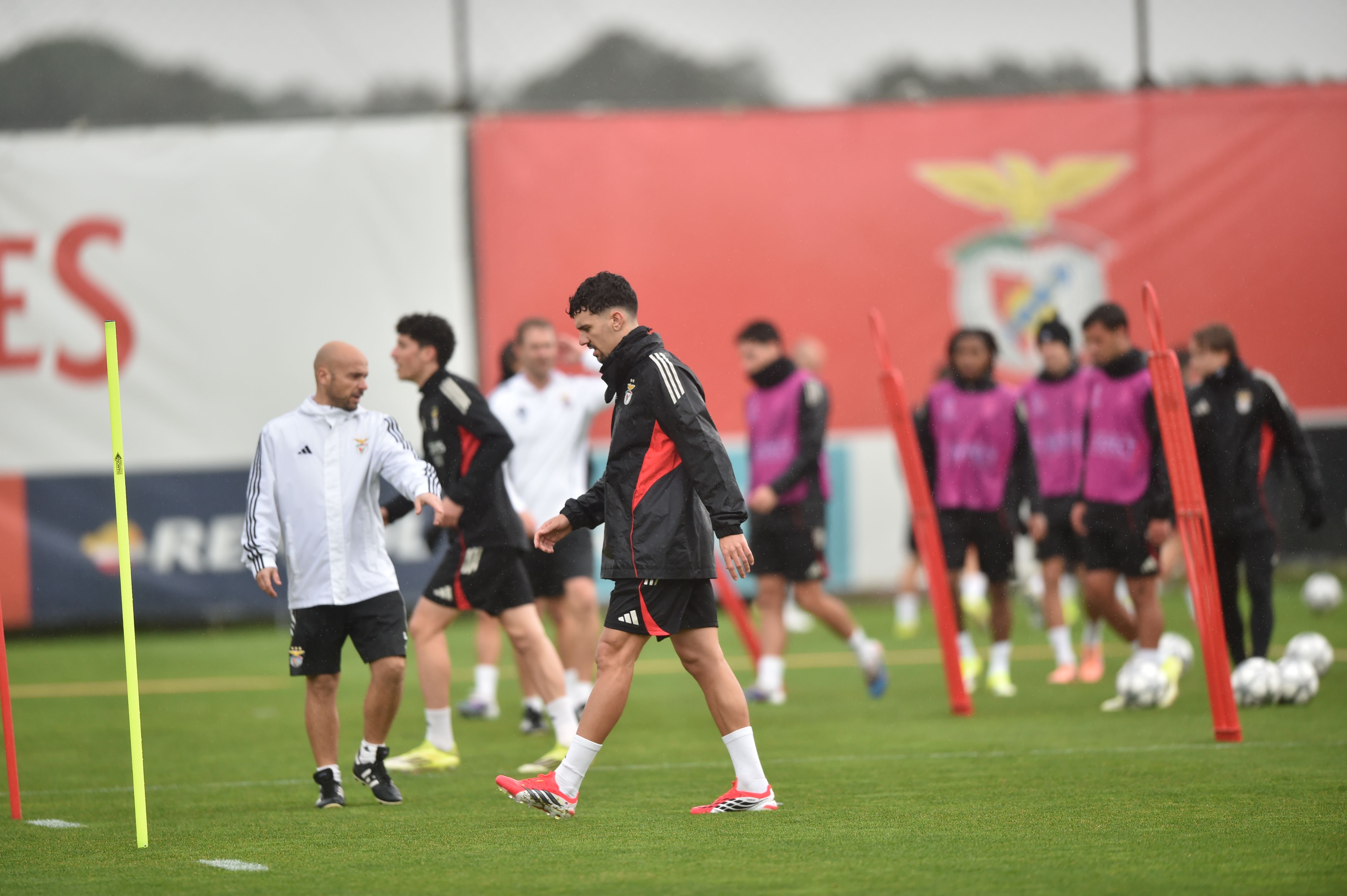 Último treino do Benfica antes do duelo com o Real Madrid para a UEFA Champions League - Foto: MIGUEL NUNES