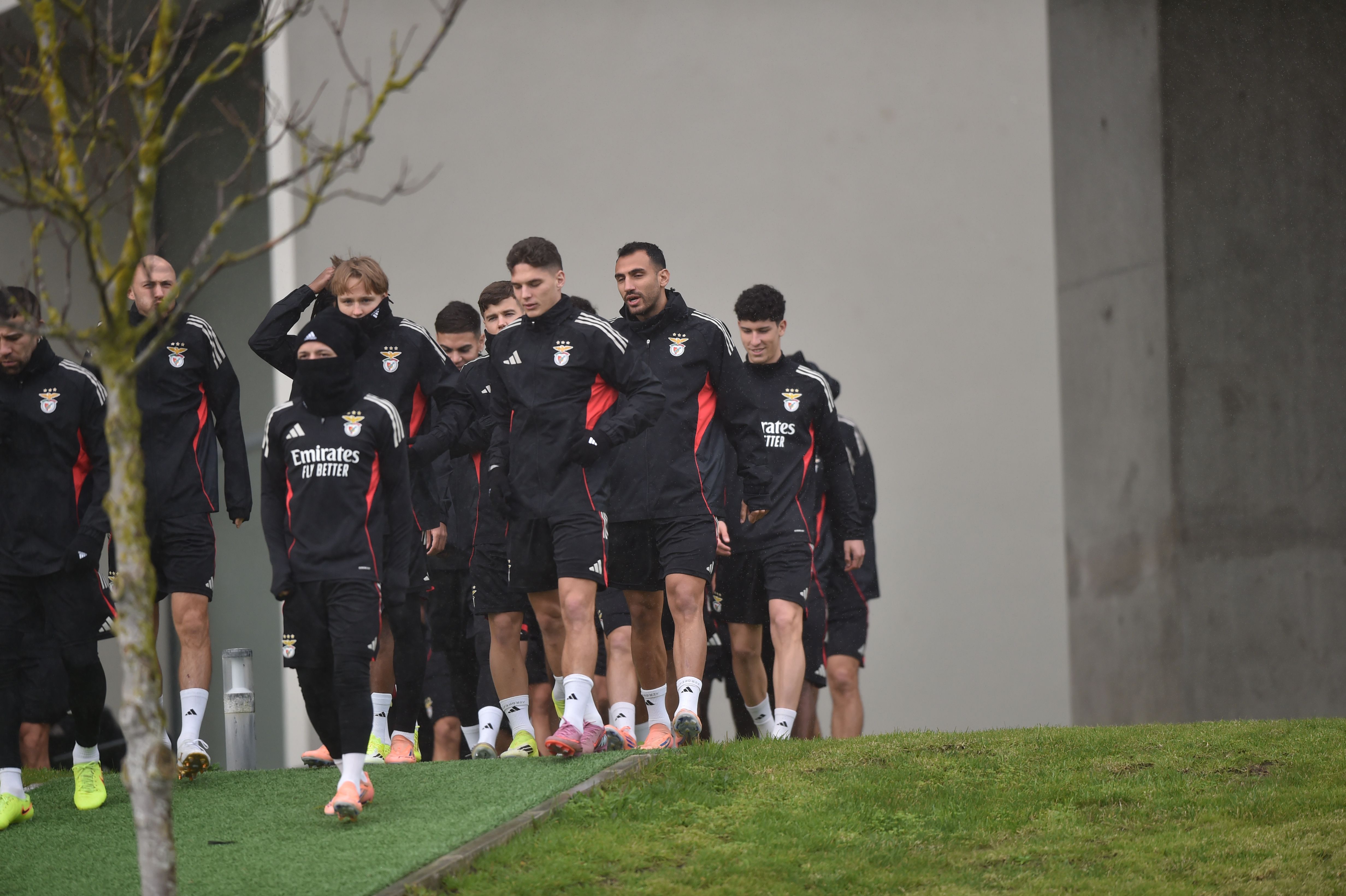 Último treino do Benfica antes do duelo com o Real Madrid para a UEFA Champions League - Foto: MIGUEL NUNES