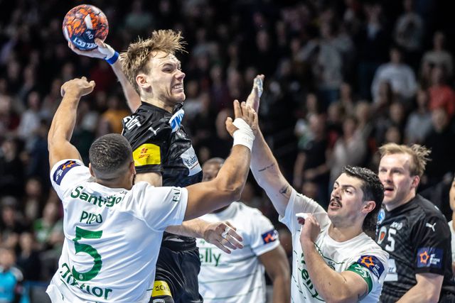 Leão recebe raposa de orgulho ferido em duelo pela liderança