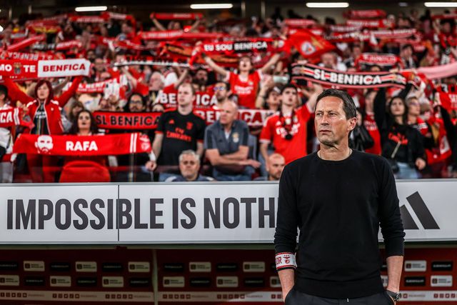 Roger Schmidt, antigo treinador do Benfica (foto: Imago)
