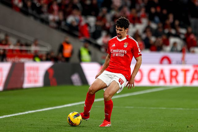 Tomás Araújo a lateral: «Se fosse o empresário do jogador, estaria muito chateado...»