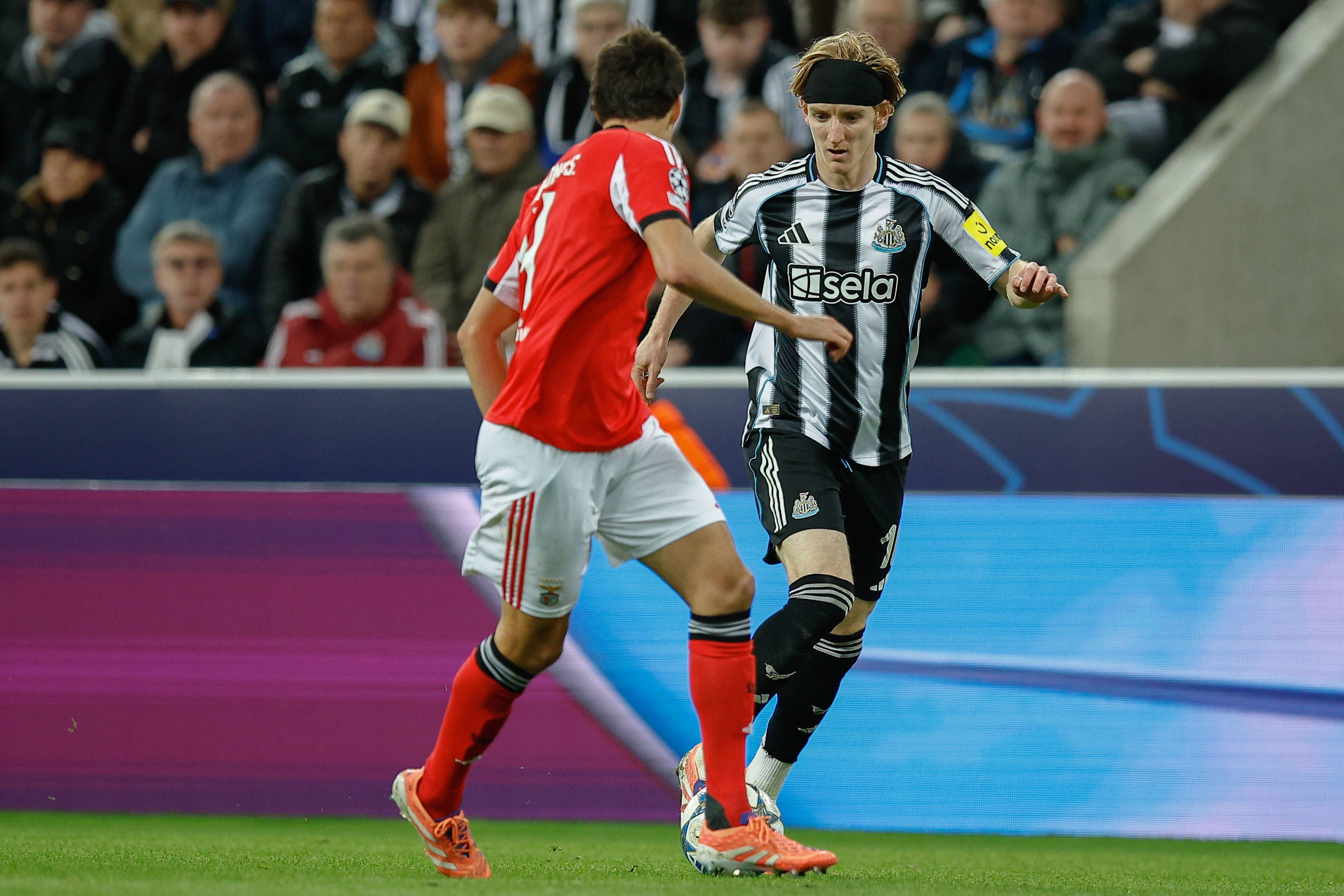 Newcastle: supercomputador confere 4.7% de hipóteses de vencer - foto: Imago