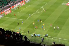 Bancadas de Alvalade festejam o golo... do Arouca