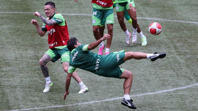 Abel Ferreira testa o novo relvado do Allianz Parque com um pontapé acrobático
