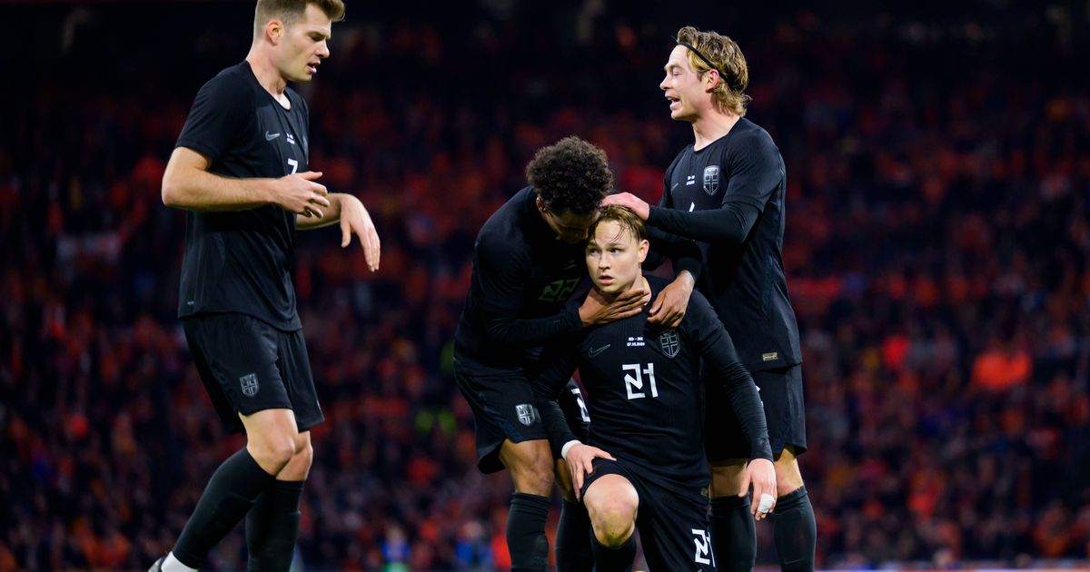 Benfica: Schjelderup «especial» deixa selecionador e Van Dijk rendidos