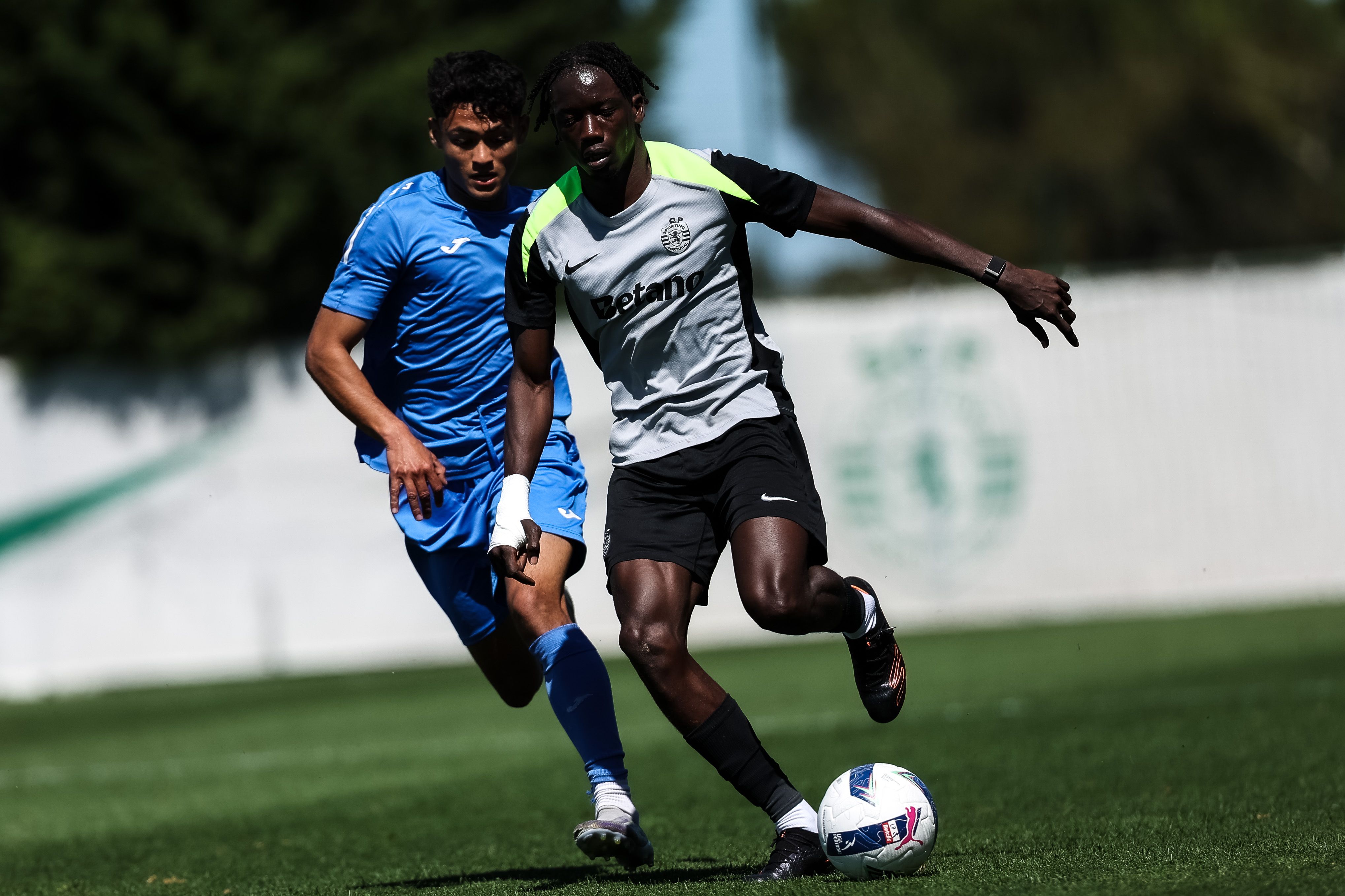 Faye a ganhar rodagem  - Foto: SPORTING CP