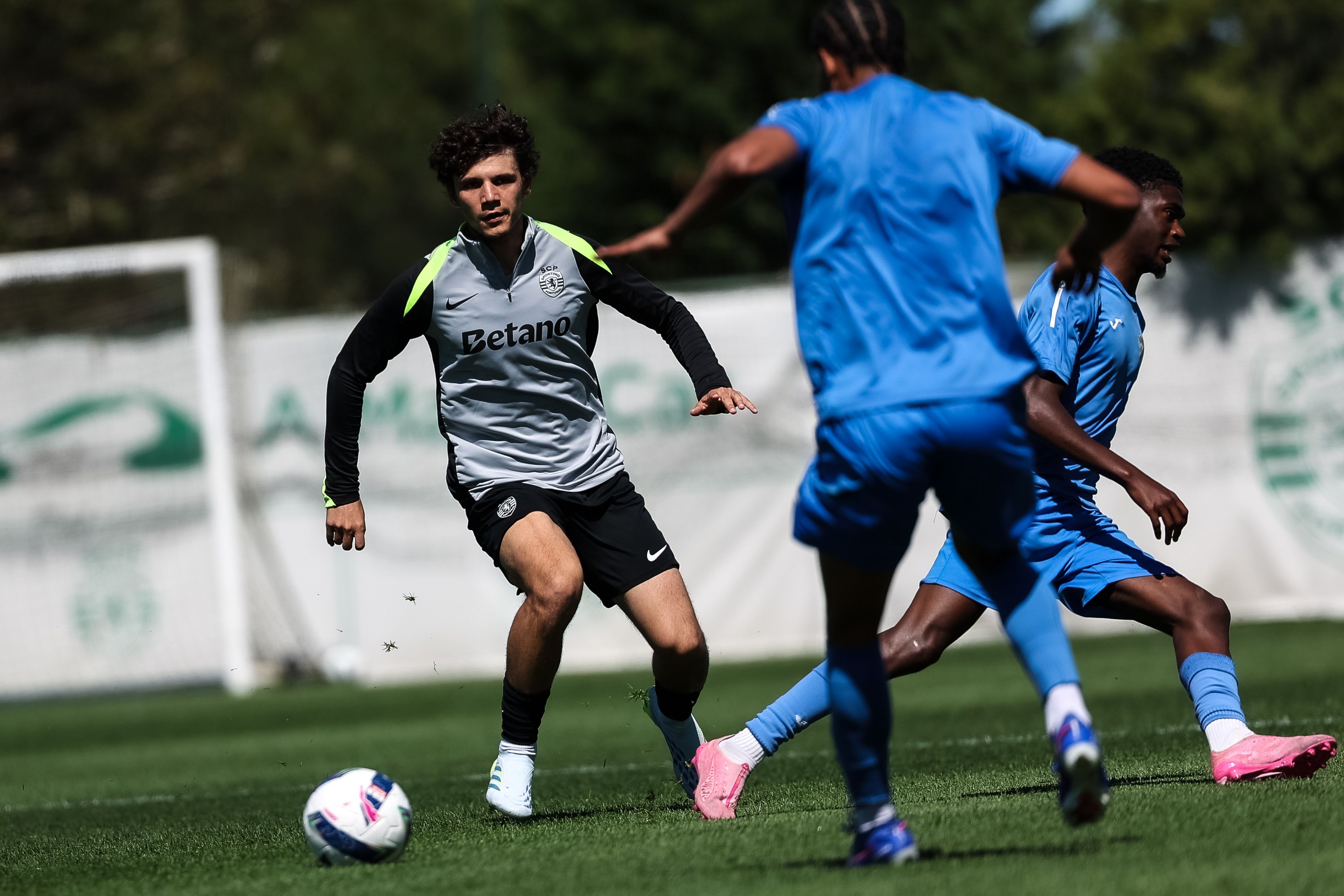 Eduardo Quaresma luta por mais minutos na equipa A  - Foto: SPORTING CP
