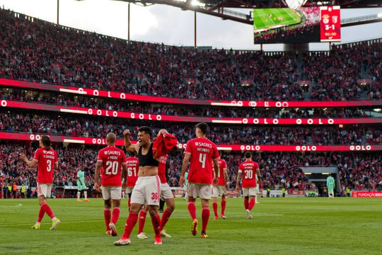 Benfica garantido nas pré-eliminatórias da Liga dos Campeões... e a torcer pelo Leverkusen