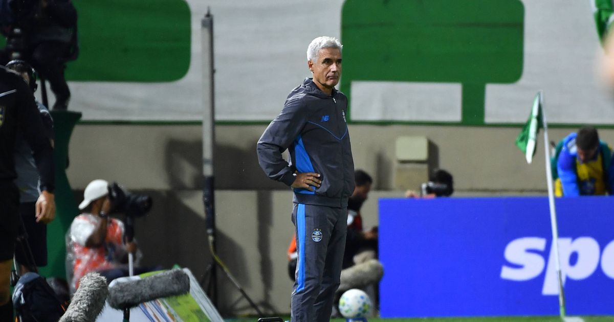 Abel Ferreira, Leonardo Jardim e Luís Castro com motivos para sorrir