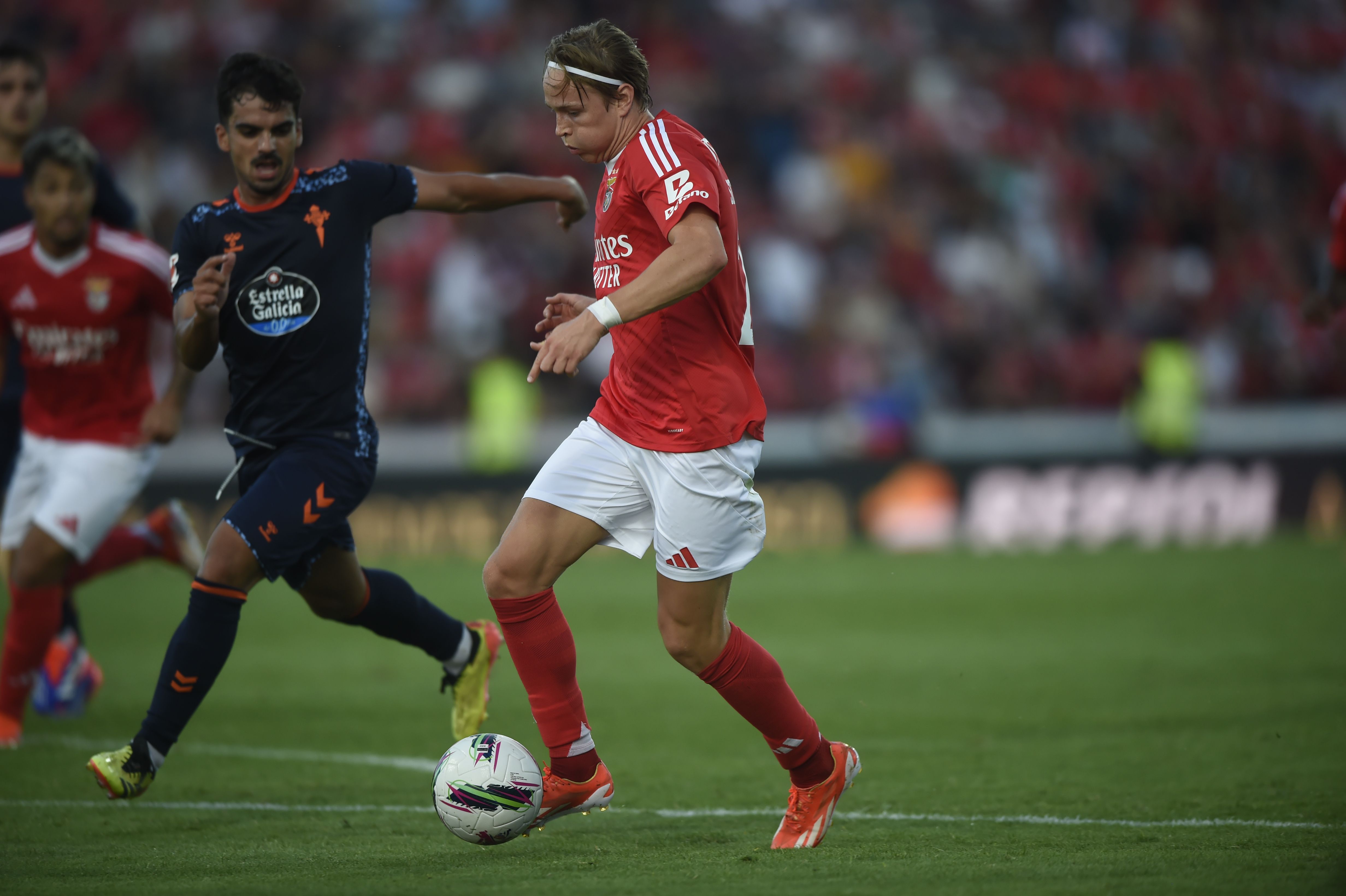 Benfica: Schjelderup perde início do campeonato