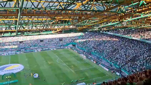 Alvalade de pé a aplaudir Coates