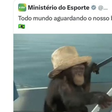 Ministério brasileiro faz publicação polémica com macaco