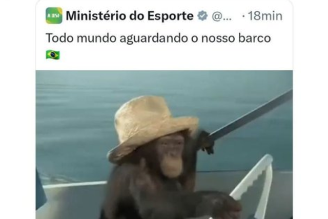 Ministério brasileiro faz publicação polémica com macaco