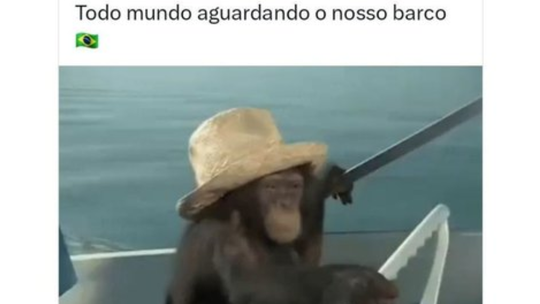 Ministério brasileiro faz publicação polémica com macaco