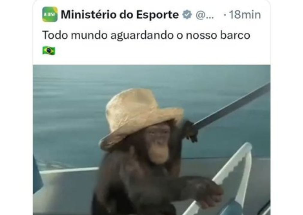 Ministério brasileiro faz publicação polémica com macaco