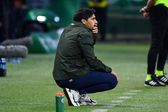 Abel Ferreira no Palmeiras-Grêmio (IMAGO)