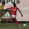 Benfica esmaga Portimonense na Liga Revelação