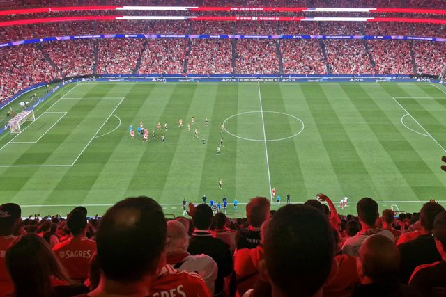 Talisca foi expulso e o Estádio da Luz respondeu assim