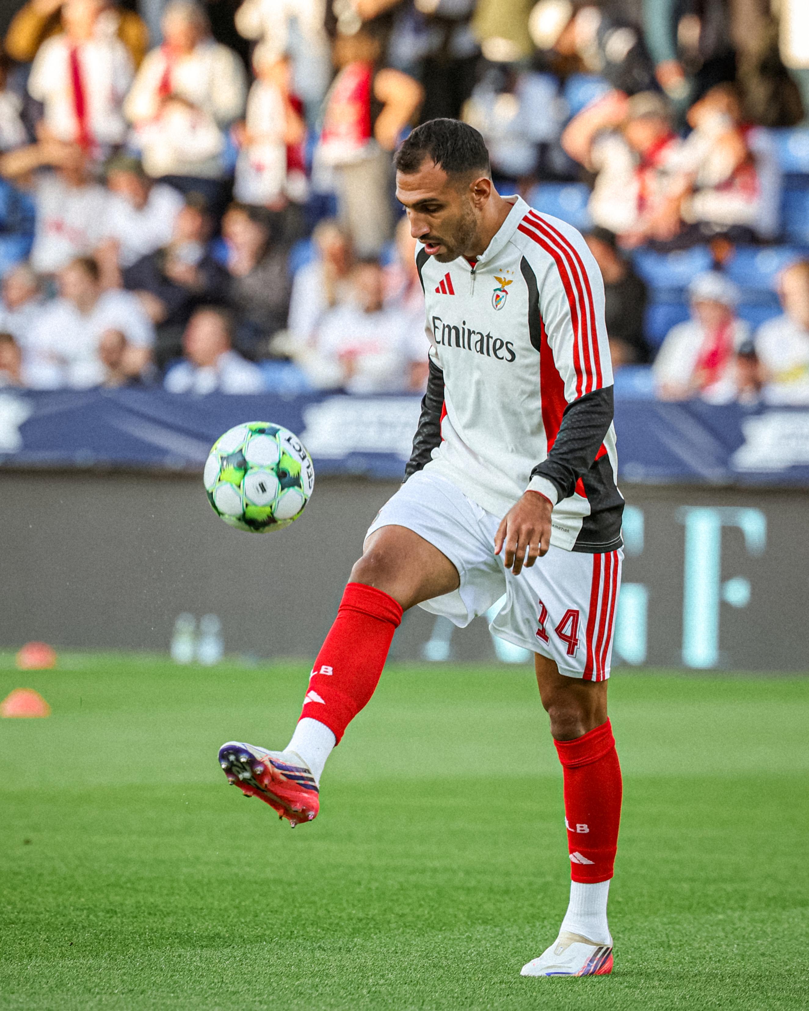 Pavlidis  - Foto: SL Benfica