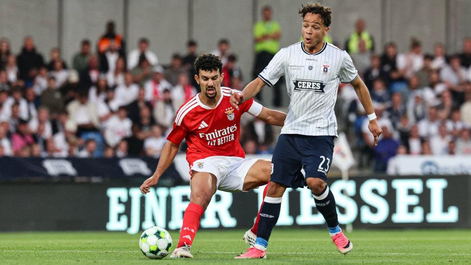 Tomás Araújo- Foto: SL Benfica