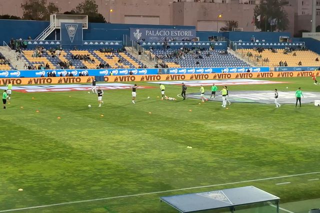 Leões em aquecimento na Amoreira