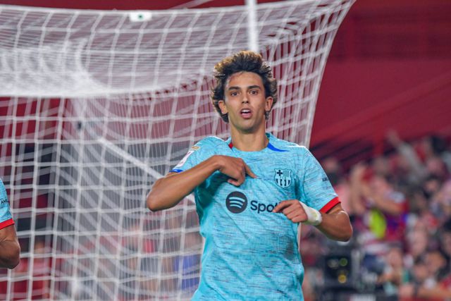 «João Félix vai ser um dos melhores jogadores na Europa»