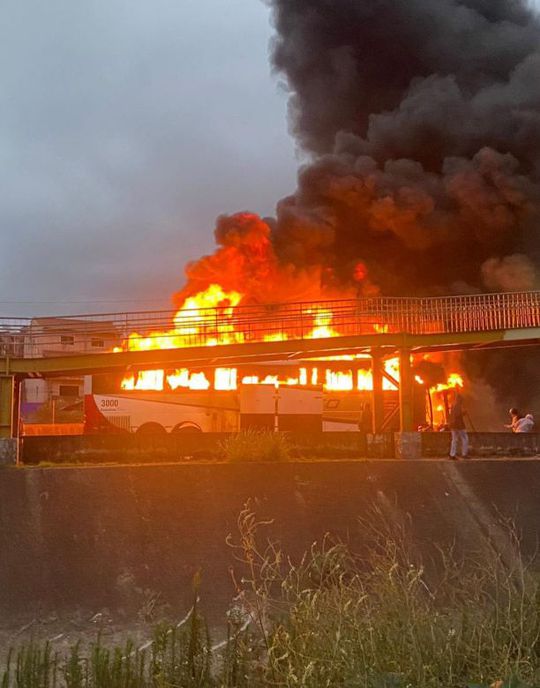 Brasil: Um morto, agressões violentas e autocarro incendiado em confrontos entre claques de Palmeiras e Cruzeiro