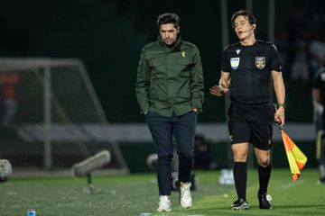 Abel Ferreira visa jornalistas: «Os profetas do acontecido»