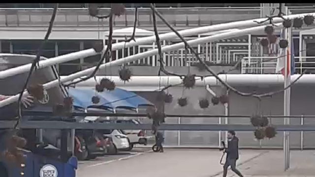 FC Porto já no aeroporto para a partida para Barcelona