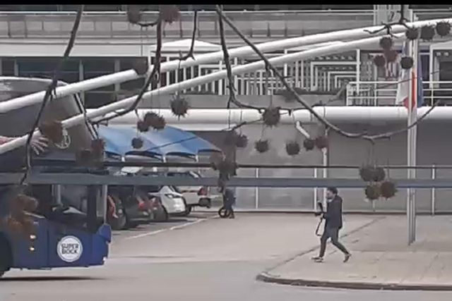 FC Porto já no aeroporto para a partida para Barcelona